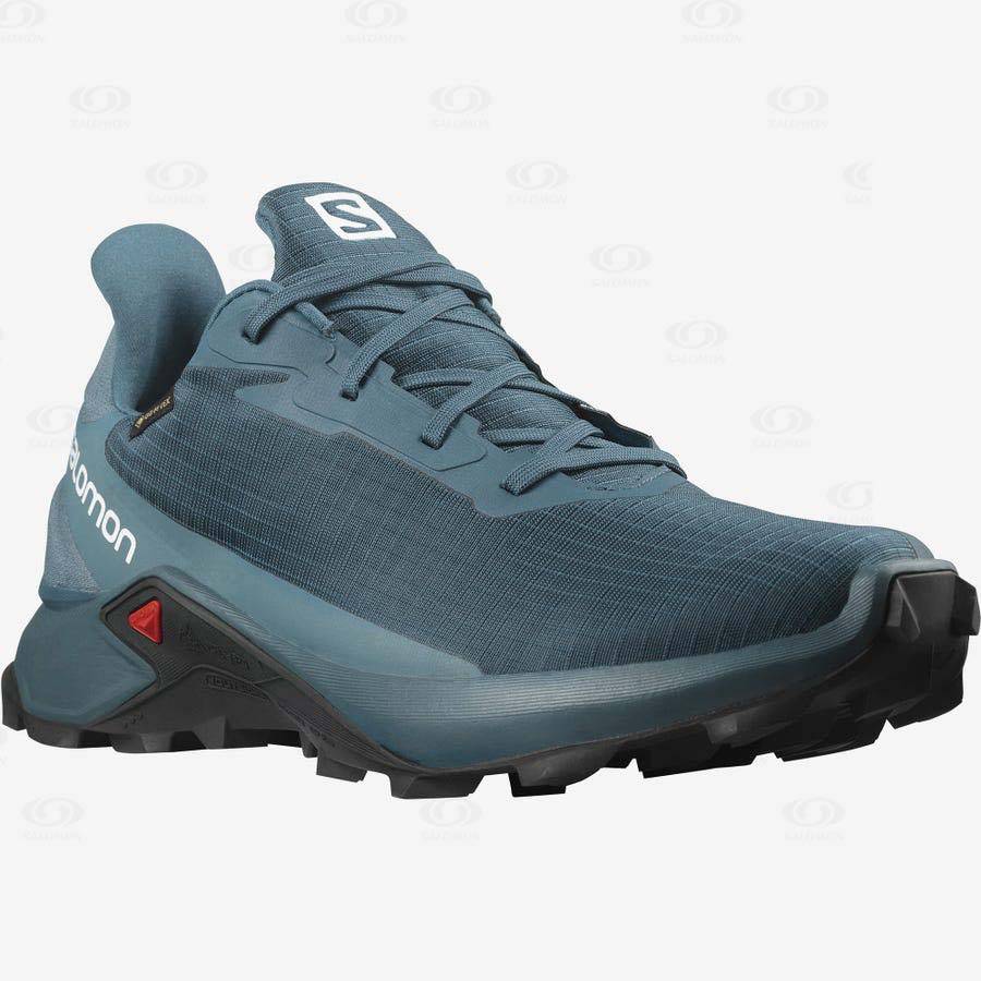 Salomon ALPHACROSS 3 GORE-TEX Men's Waterproof Shoes Blue | AU-S1877