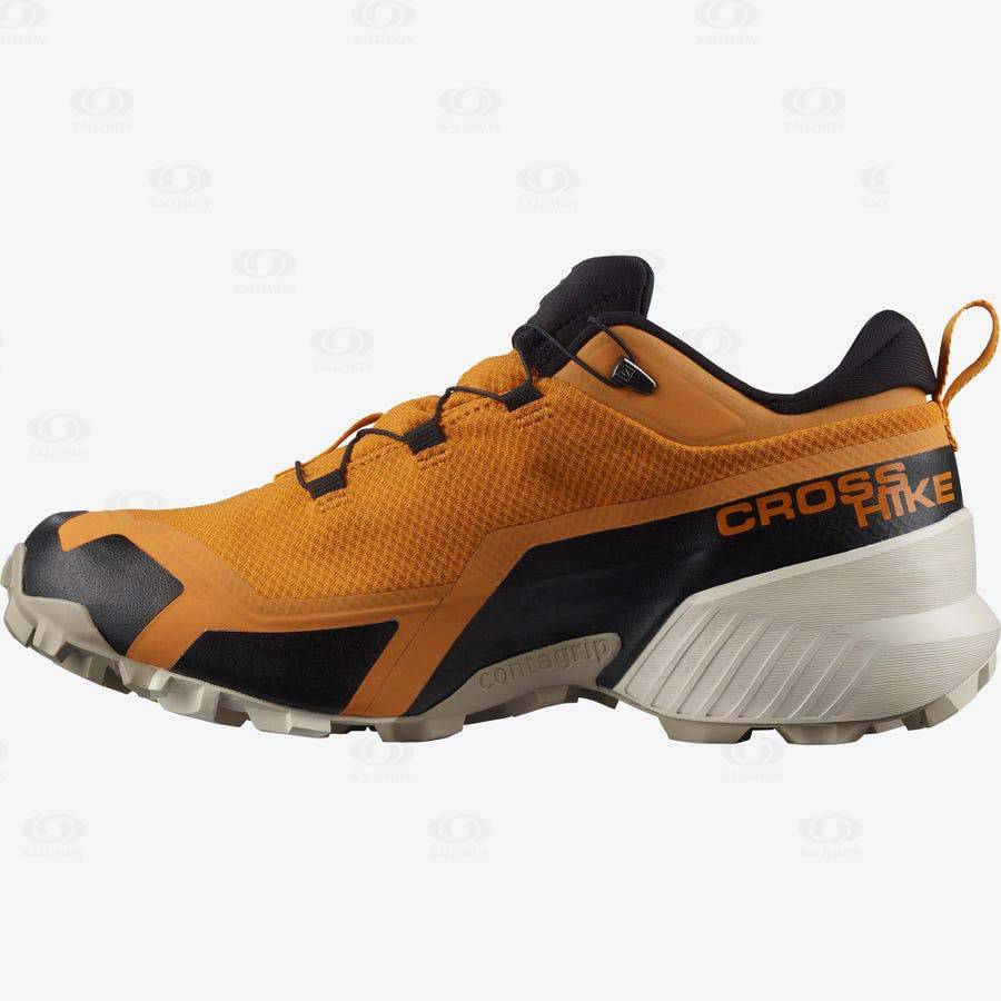 Salomon CROSS HIKE GORE-TEX Men's Hiking Shoes Orange | AU-O1383