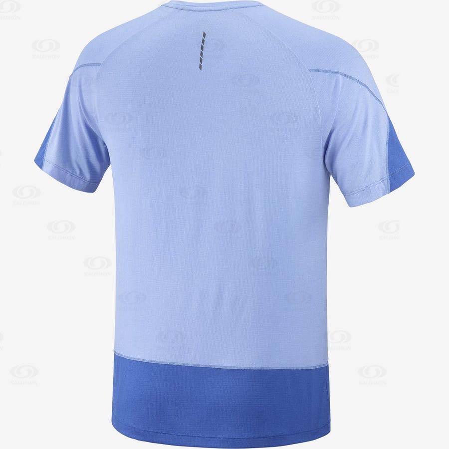 Salomon CROSS RUN GRAPHIC Men's T Shirts Blue | AU-N1085