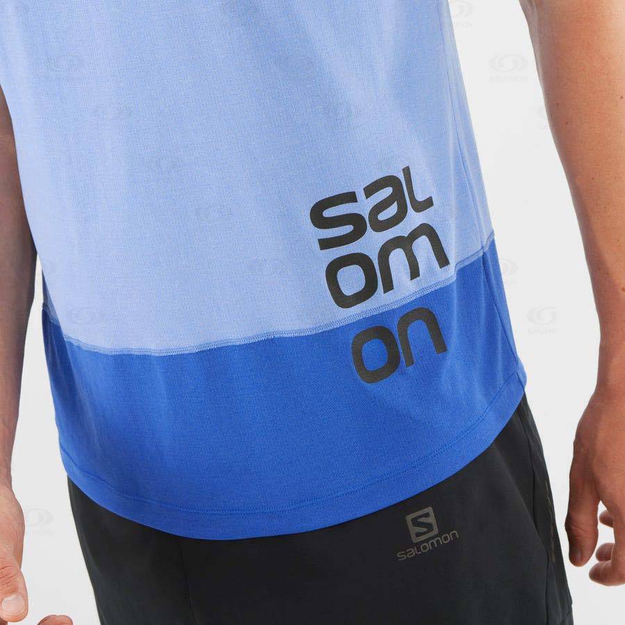 Salomon CROSS RUN GRAPHIC Men's T Shirts Blue | AU-N1085