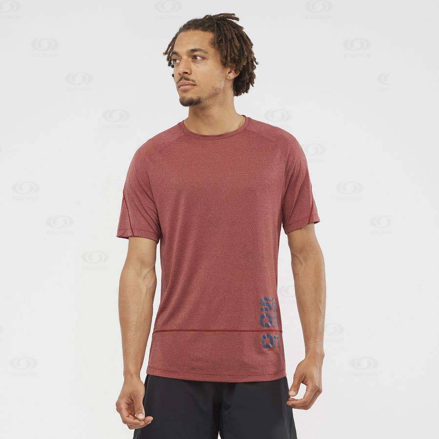 Salomon CROSS RUN GRAPHIC Men's T Shirts Red | AU-N2583