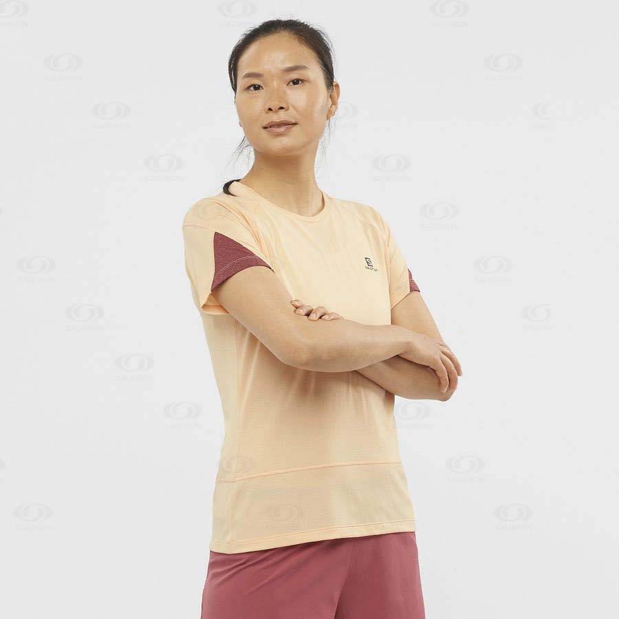 Salomon CROSS RUN Women's T Shirts Beige | AU-M1916