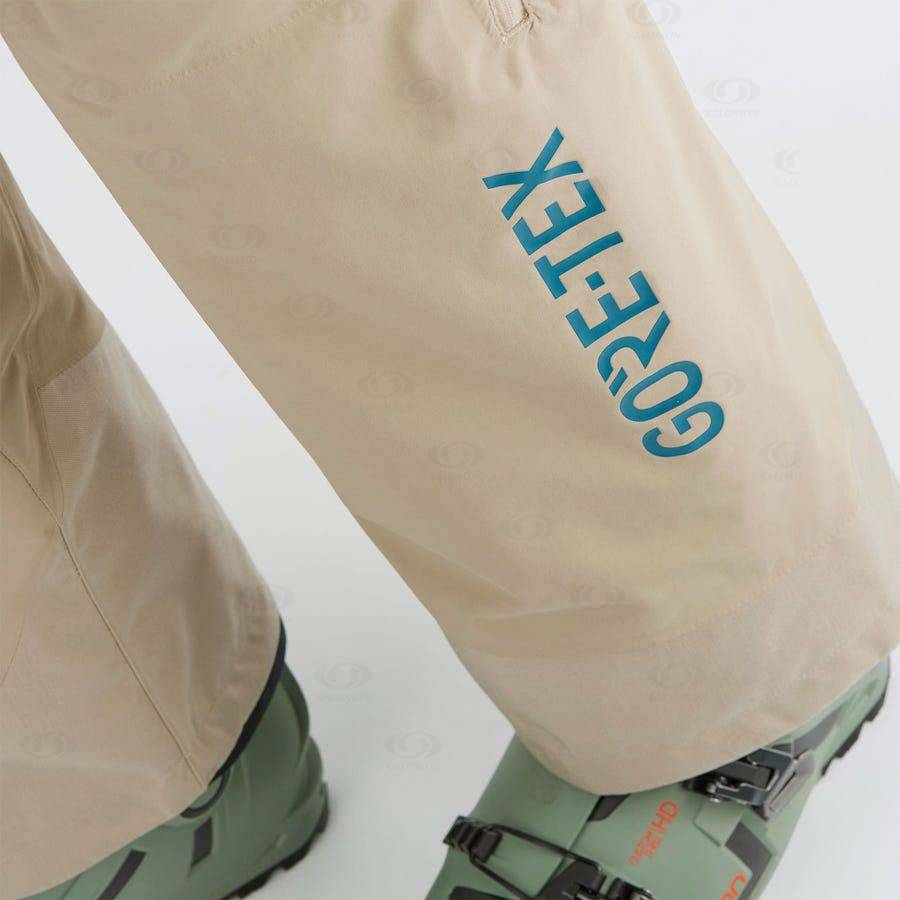 Salomon GRAVITY GORE-TEX Men's Ski Pants Brown | AU-O1964