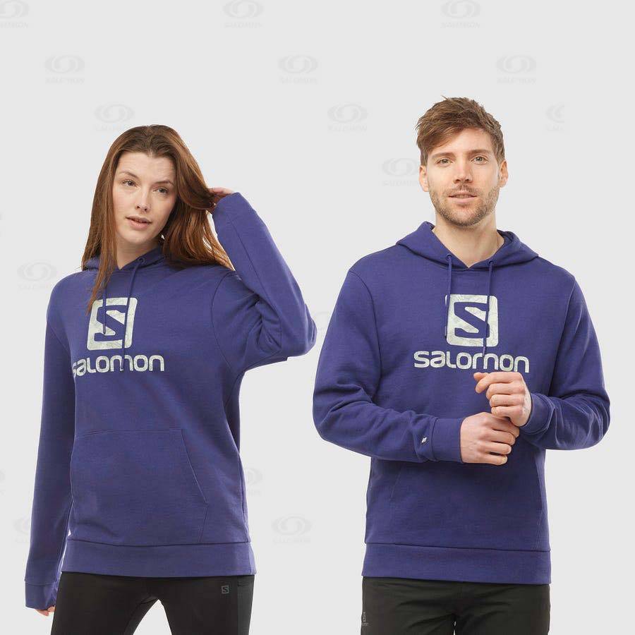 Salomon OUTLIFE LOGO SUMMER Men's Hoodie Purple | AU-O1138