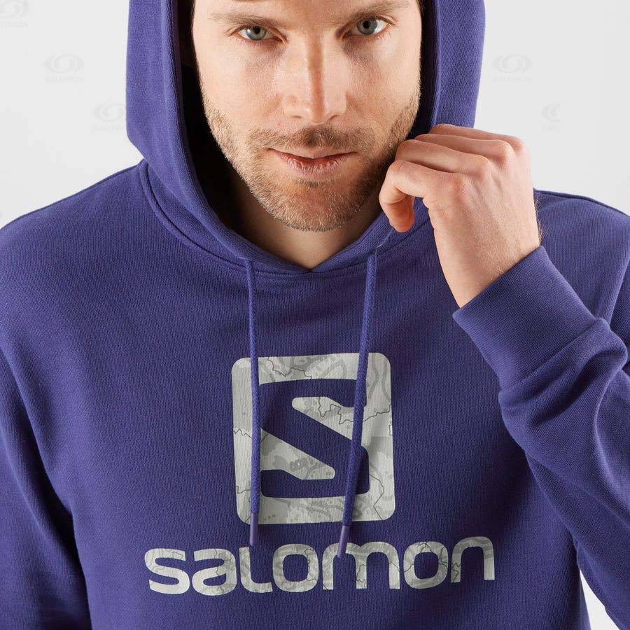 Salomon OUTLIFE LOGO SUMMER Men's Hoodie Purple | AU-O1138