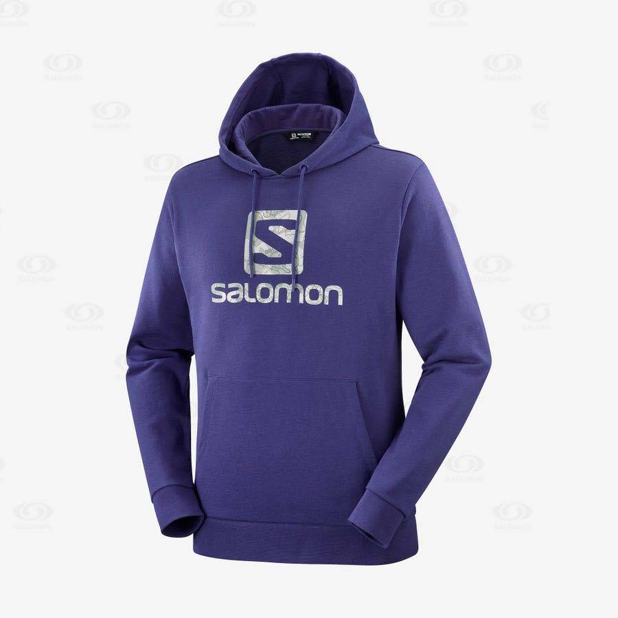 Salomon OUTLIFE LOGO SUMMER Men\'s Hoodie Purple | AU-O1138