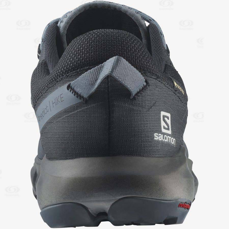 Salomon PREDICT HIKE GORE-TEX Men's Hiking Shoes Grey / Black | AU-L2523