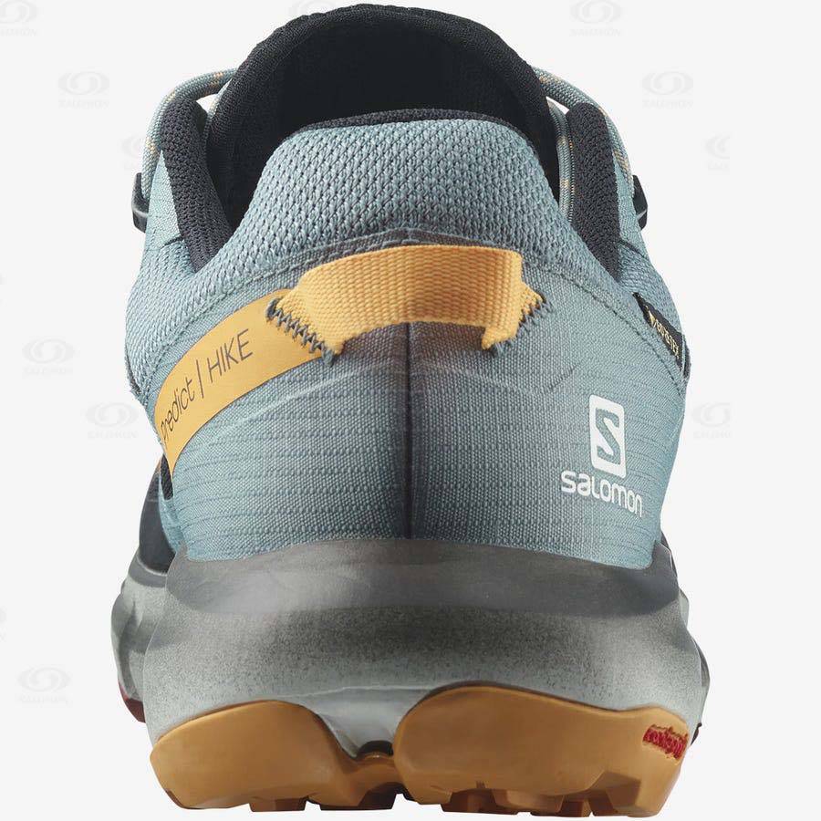 Salomon PREDICT HIKE GORE-TEX Men's Hiking Shoes Black / Orange | AU-S1730