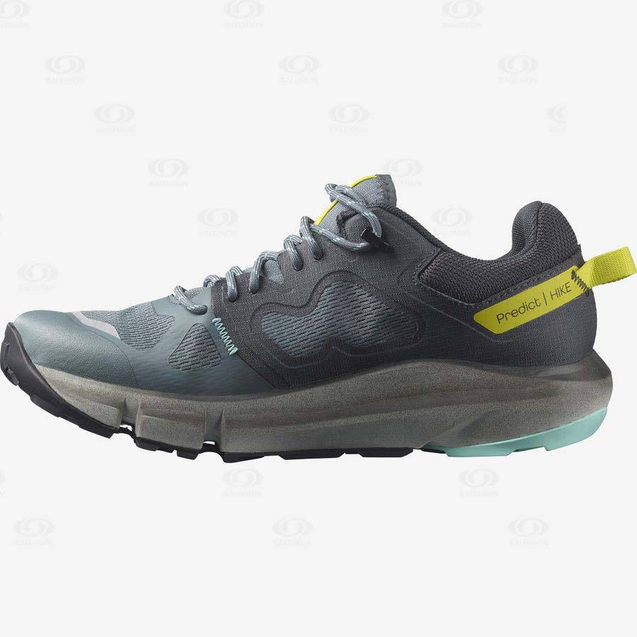 Salomon PREDICT HIKE GORE-TEX Women's Hiking Shoes Silver | AU-L1690