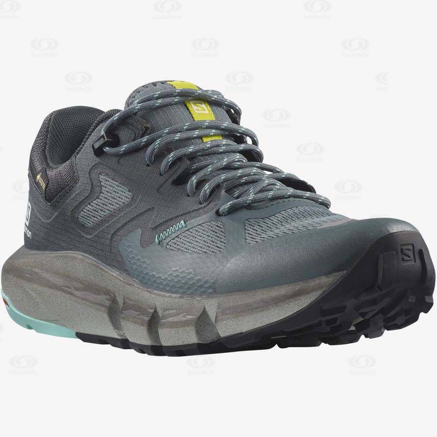 Salomon PREDICT HIKE GORE-TEX Women's Hiking Shoes Silver | AU-L1690