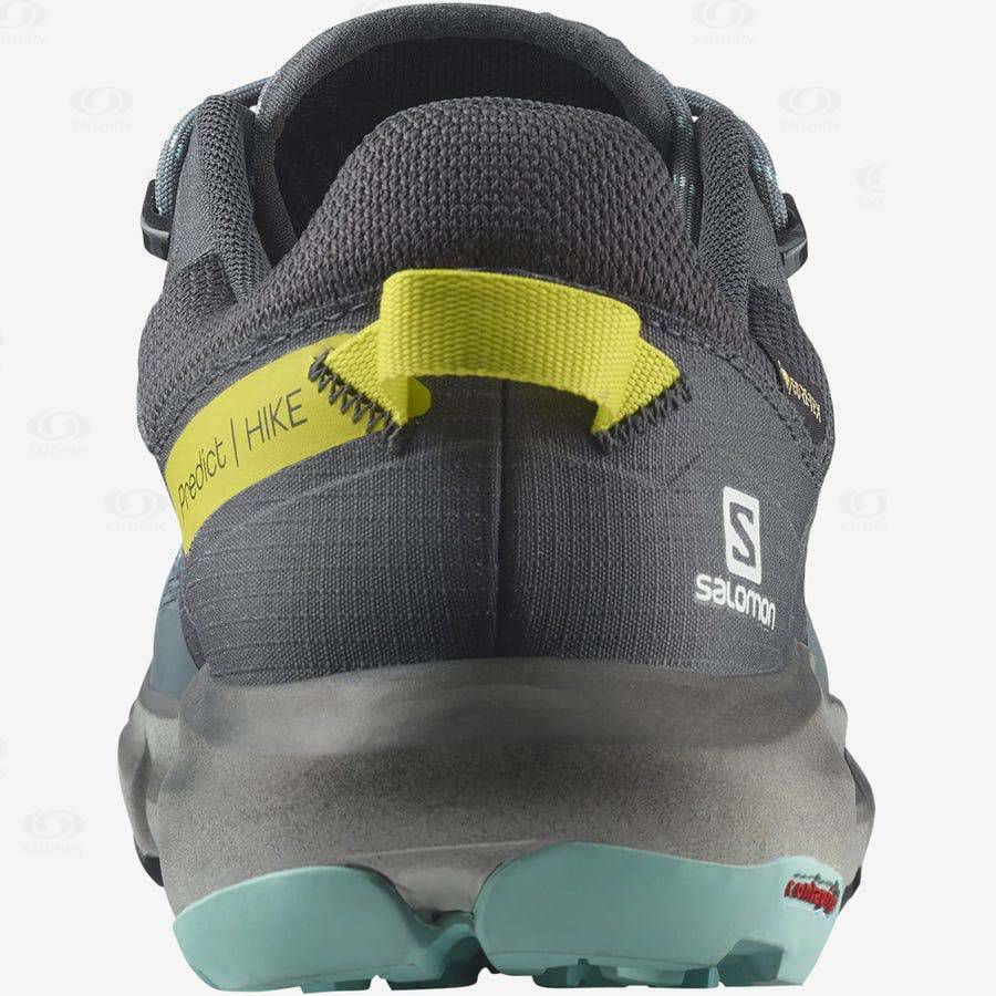 Salomon PREDICT HIKE GORE-TEX Women's Hiking Shoes Silver | AU-L1690