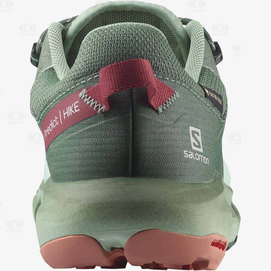 Salomon PREDICT HIKE GORE-TEX Women's Hiking Shoes Turquoise | AU-M1552