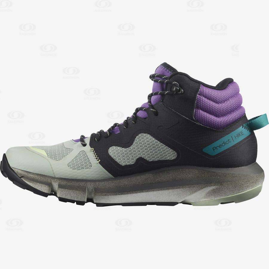 Salomon PREDICT HIKE MID GORE-TEX Men's Hiking Boots Mint / Purple | AU-O2426