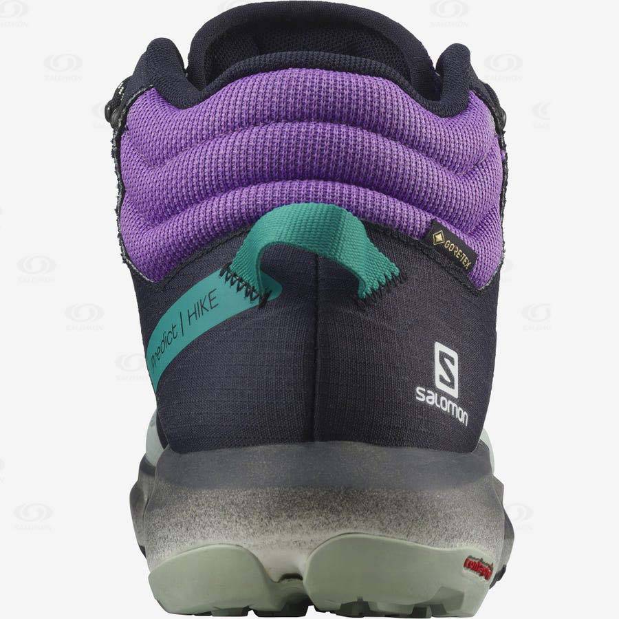 Salomon PREDICT HIKE MID GORE-TEX Men's Hiking Boots Mint / Purple | AU-O2426