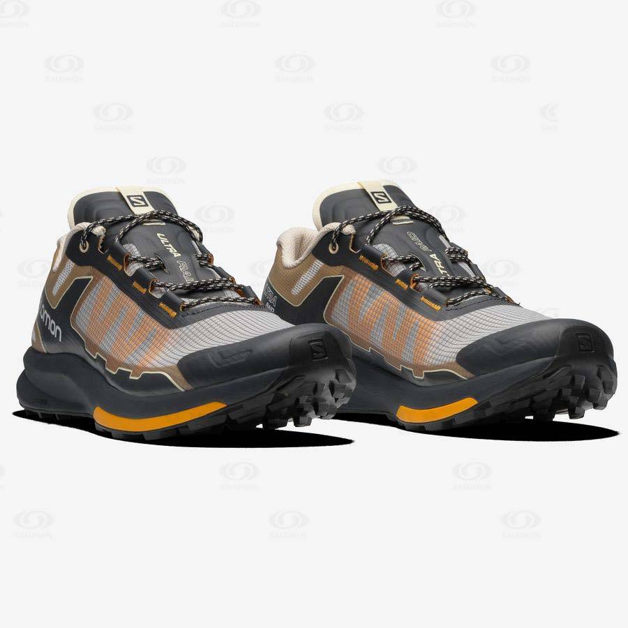 Salomon ULTRA RAID Men's Sneakers Brown / Silver | AU-O2608