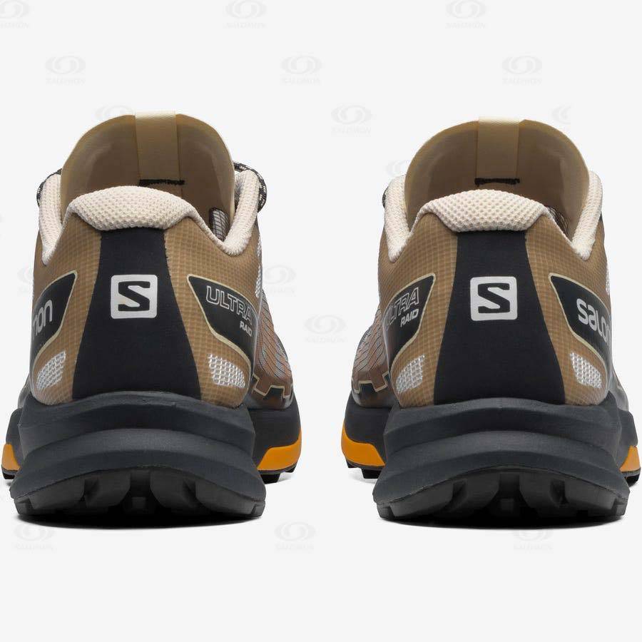 Salomon ULTRA RAID Men's Sneakers Brown / Silver | AU-O2608