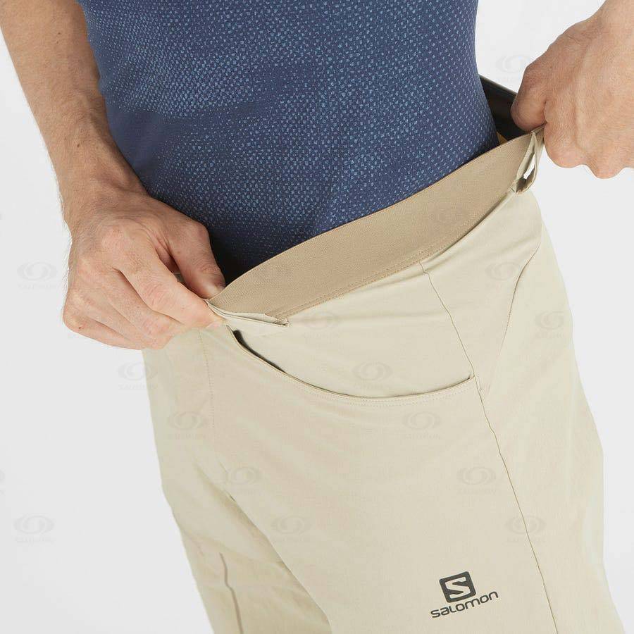 Salomon WAYFARER Men's Shorts Beige | AU-M1937