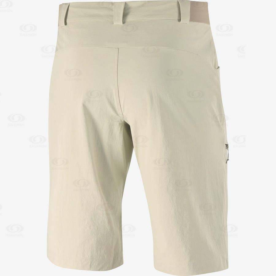 Salomon WAYFARER Men's Shorts Beige | AU-M1937