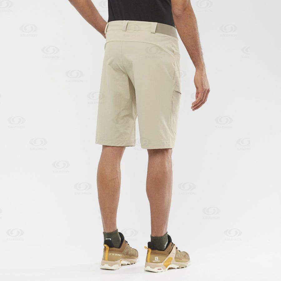 Salomon WAYFARER Men's Shorts Beige | AU-M1937