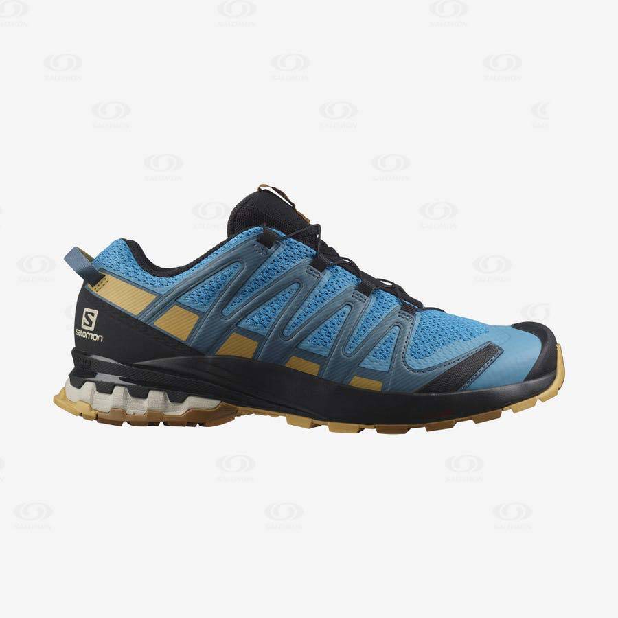 Salomon XA PRO 3D v8 Men\'s Hiking Shoes Blue | AU-O2174