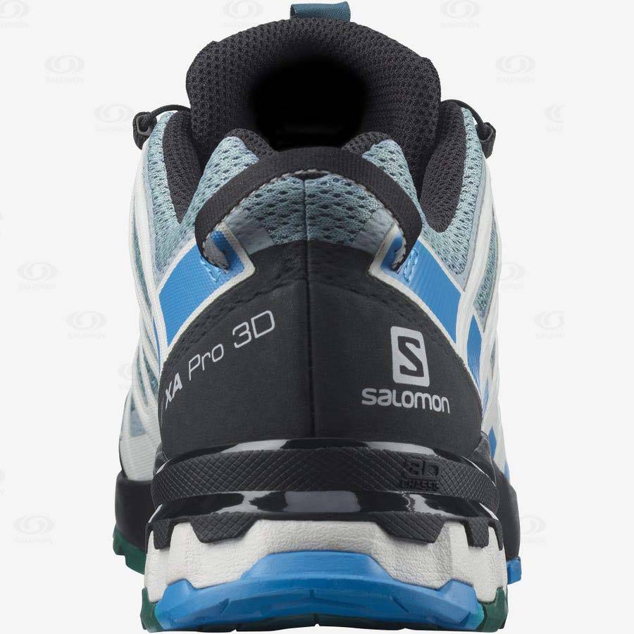 Salomon XA PRO 3D v8 Men's Trail Running Shoes Mint | AU-M2392