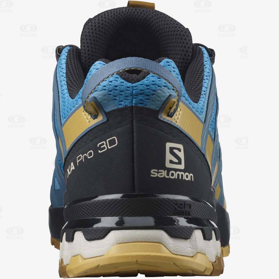 Salomon XA PRO 3D v8 Men's Trail Running Shoes Blue | AU-O2071