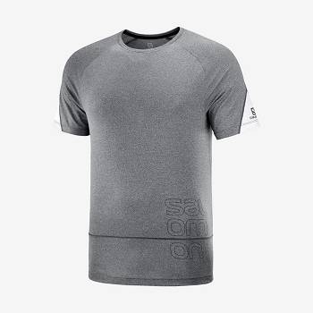 Salomon CROSS RUN GRAPHIC Men's T Shirts Grey | AU-A1906