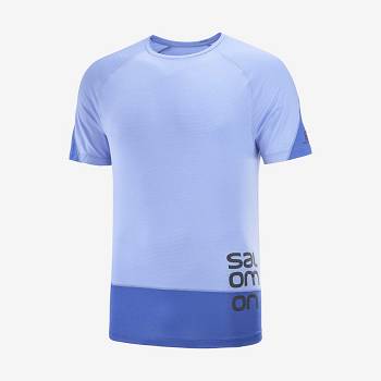 Salomon CROSS RUN GRAPHIC Men's T Shirts Blue | AU-N1085