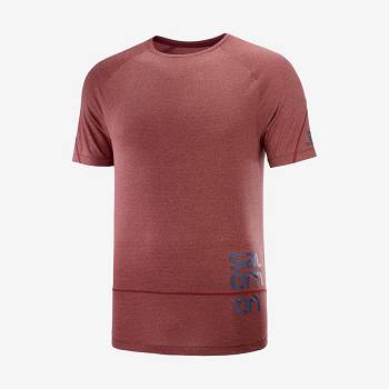 Salomon CROSS RUN GRAPHIC Men's T Shirts Red | AU-N2583