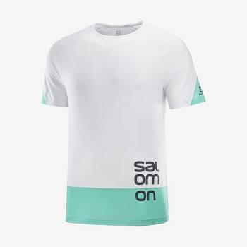 Salomon CROSS RUN GRAPHIC Men's T Shirts White | AU-O1252