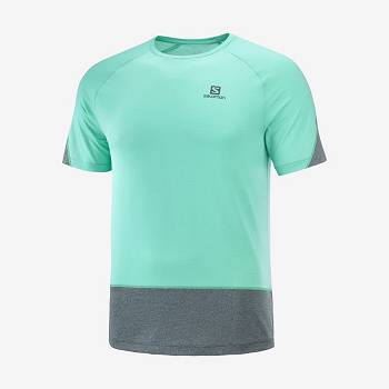 Salomon CROSS RUN Men's T Shirts Mint | AU-O1980