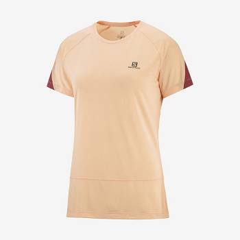 Salomon CROSS RUN Women's T Shirts Beige | AU-M1916