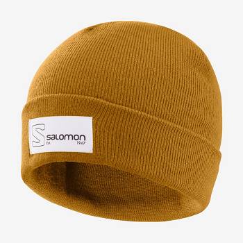 Salomon OUTLIFE LOGO Men's Hats Brown | AU-O2104