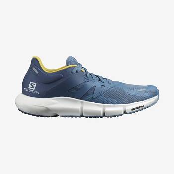 Salomon PREDICT 2 Men's Running Shoes Blue | AU-wN1316