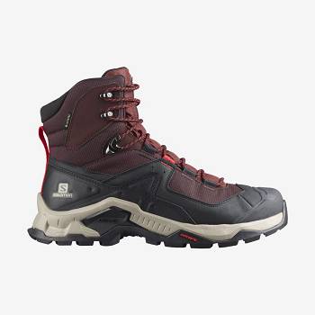 Salomon QUEST ELEMENT GORE-TEX Men's Hiking Boots Grey / Red | AU-O2503