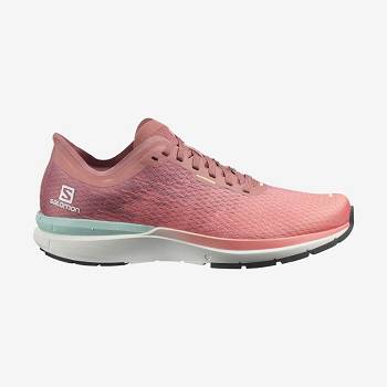 Salomon SONIC 4 Accelerate Women's Running Shoes Pink | AU-L2432