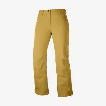 Salomon THE BRILLIANT Women's Ski Pants Brown | AU-S1261