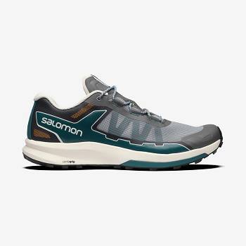 Salomon ULTRA RAID Men's Sneakers Grey / Silver | AU-M1755