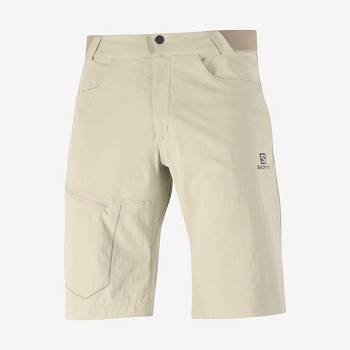 Salomon WAYFARER Men's Shorts Beige | AU-M1937