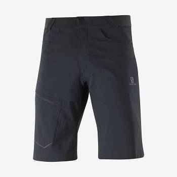 Salomon WAYFARER Men's Shorts Black | AU-A2025