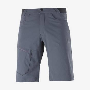 Salomon WAYFARER Men's Shorts Grey | AU-S2157