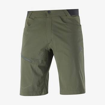 Salomon WAYFARER Men's Shorts Olive | AU-N1932