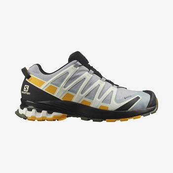 Salomon XA PRO 3D v8 GORE-TEX Men's Trail Running Shoes Black / Grey | AU-L1018